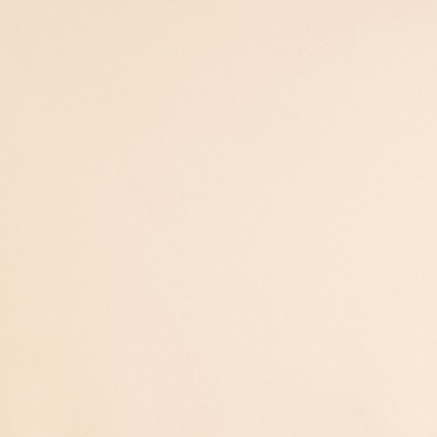 S5685B - Magnolia Brillant 2